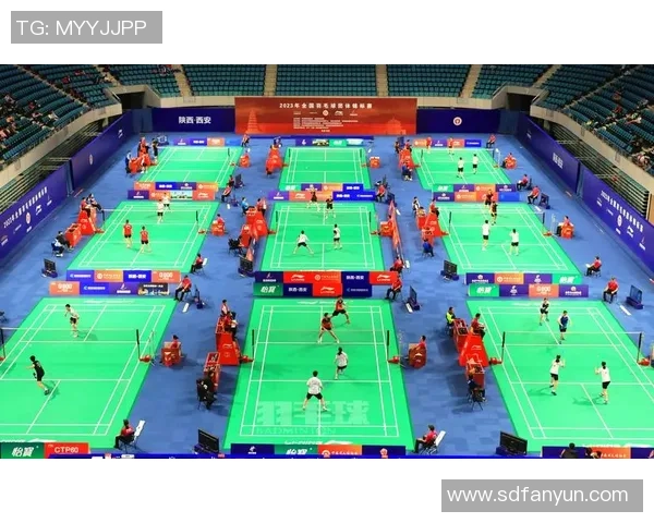 西安羽毛球队在全国羽毛球配合排行榜中荣获第十名的佳绩分析