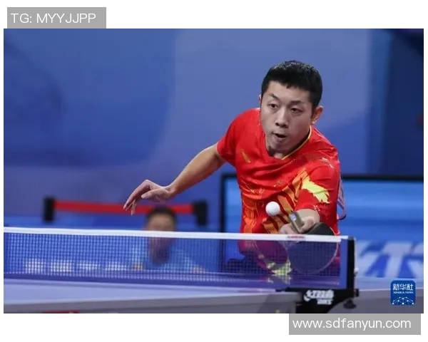 乒乓球耐力排行榜揭晓上海乒乓球队荣获第二名佳绩