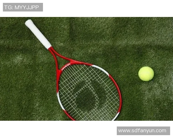 从零起步掌握网球灵活性技巧全解析助你提升竞技水平